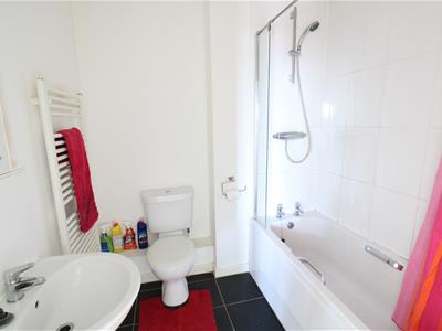 Picture 8